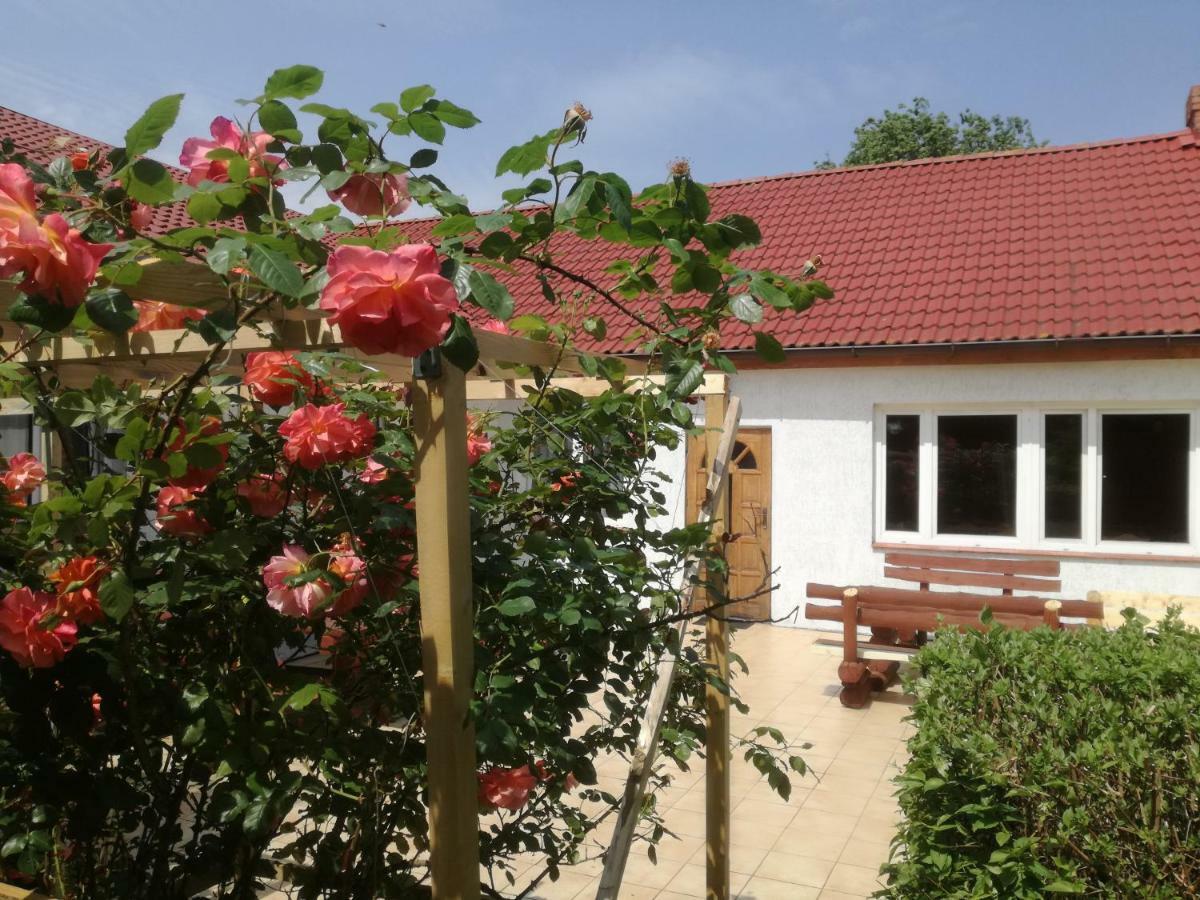 Chata Pod Różą Ledzin Zewnętrze zdjęcie
