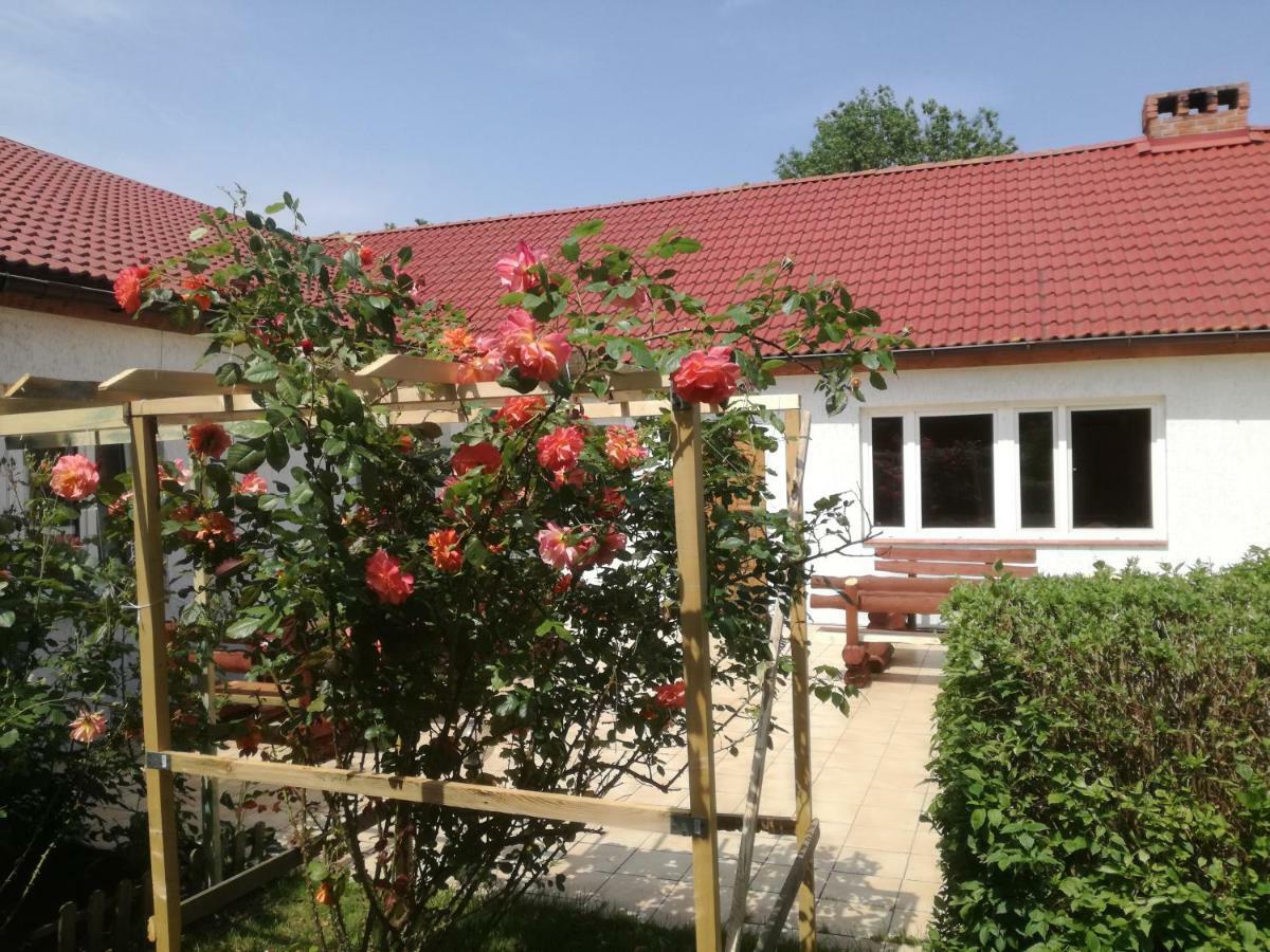 Chata Pod Różą Ledzin Zewnętrze zdjęcie